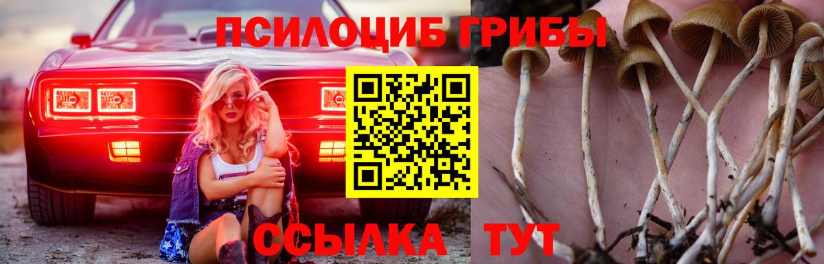 Галлюциногенные грибы мицелий  Галлюциногенные грибы MAGIC MUSHROOMS  Югорск  Вход с VPN 